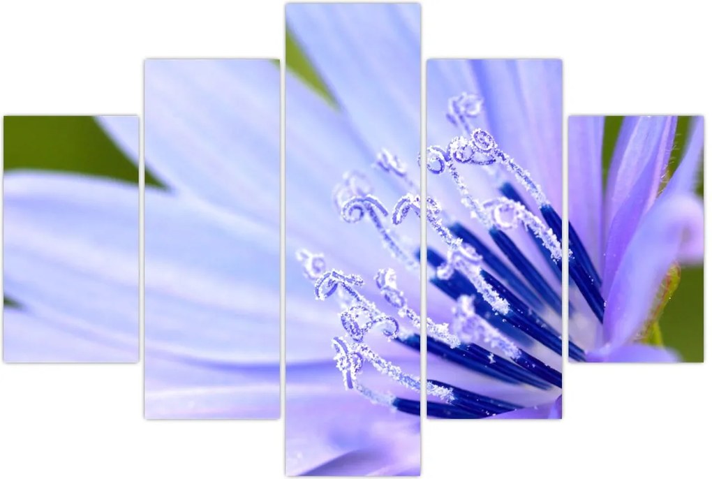 Tablou - Floare (150x105 cm)