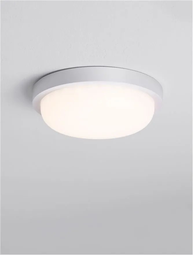 Mini Aplica LED exterior de perete/tavan, IP65, REO alb