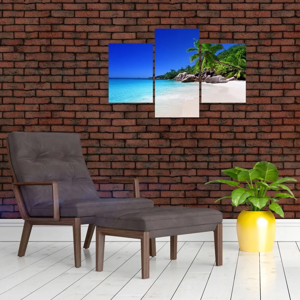 Tablou cu plaja pe insula Praslin (90x60 cm)