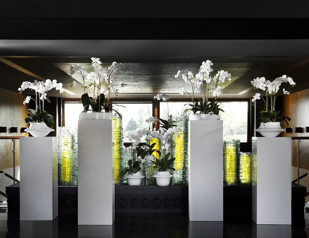 Aranjament floral LIGHT ATOLLO 3 PHALENOPSIS BIG 1141375.95