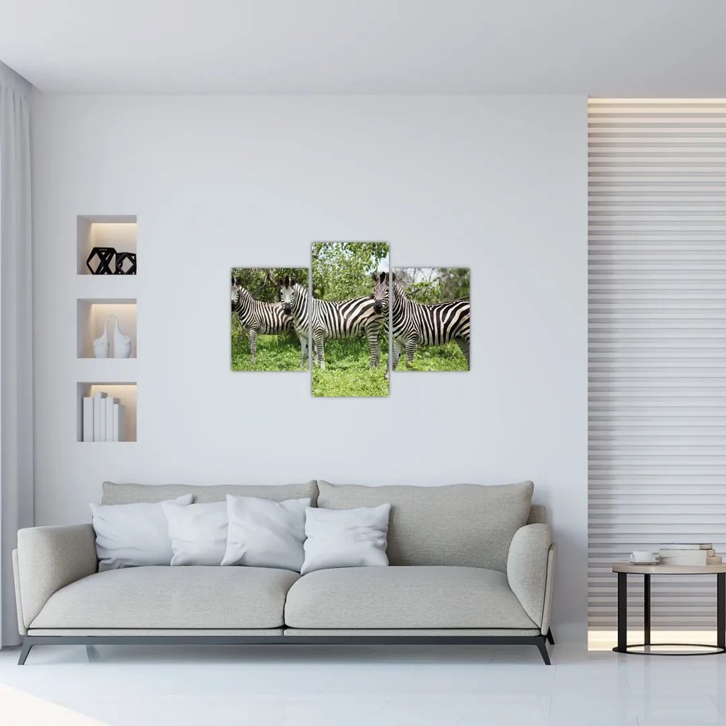 Tablou cu zebre (90x60 cm)