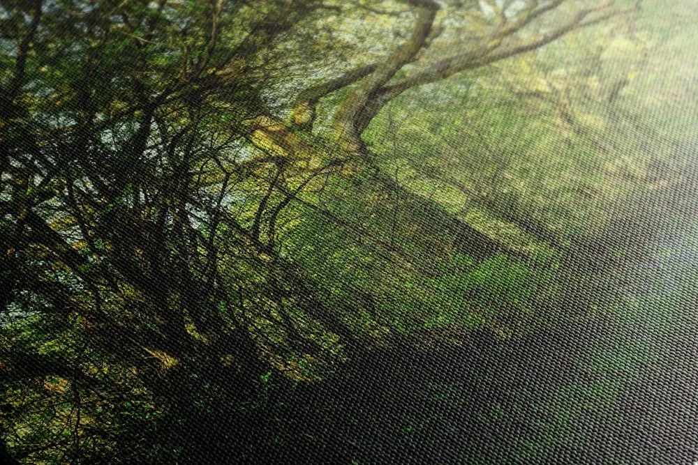 Tablou pădure de poveste
