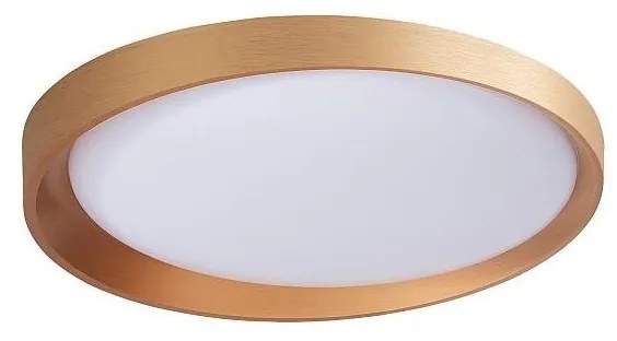 Palnas 61004556 - Plafonieră LED ADEL LED/40W/230V