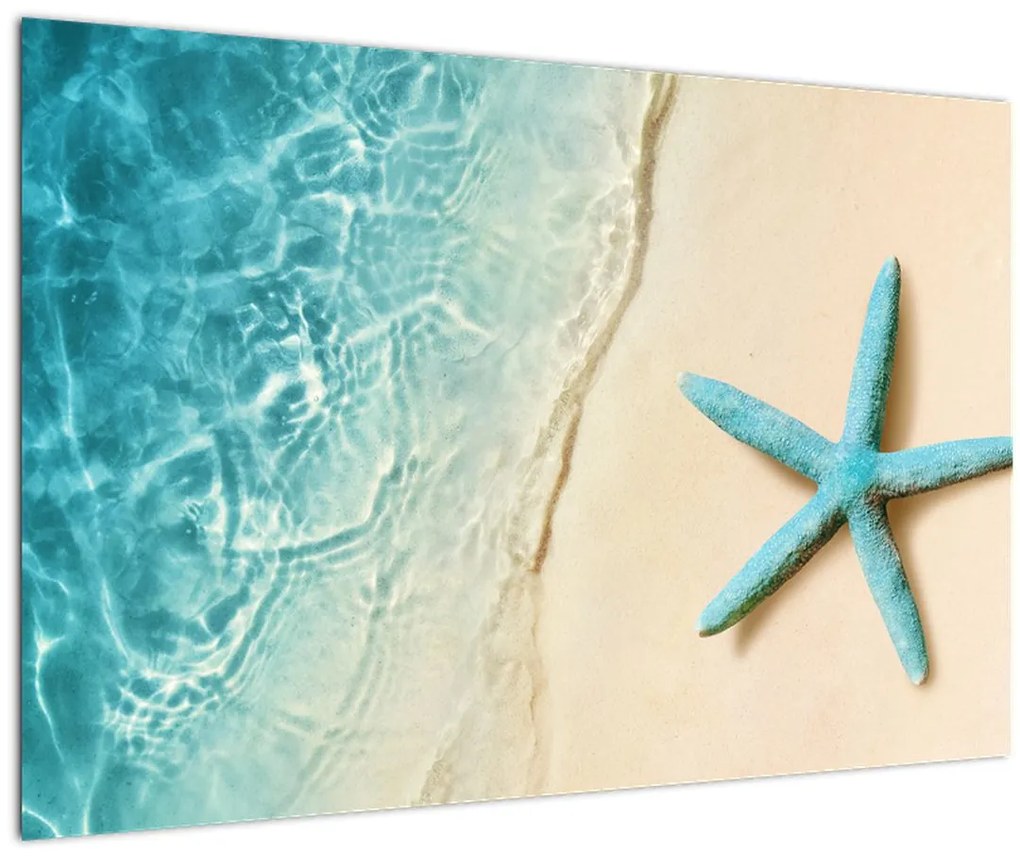 Tablou - Stea de mare pe plajă (90x60 cm)