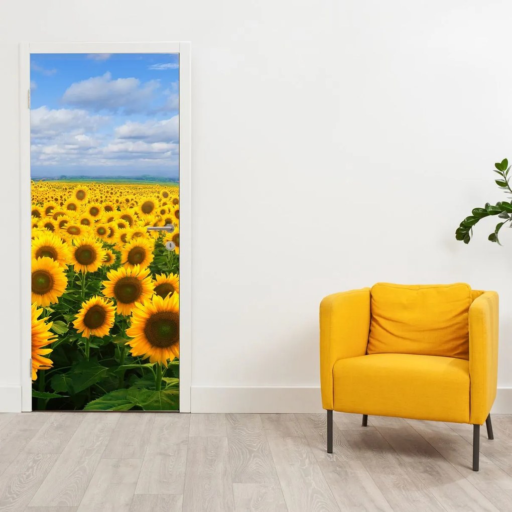Fototapet pentru ușă - Câmp cu floare soarelui (95x205cm)
