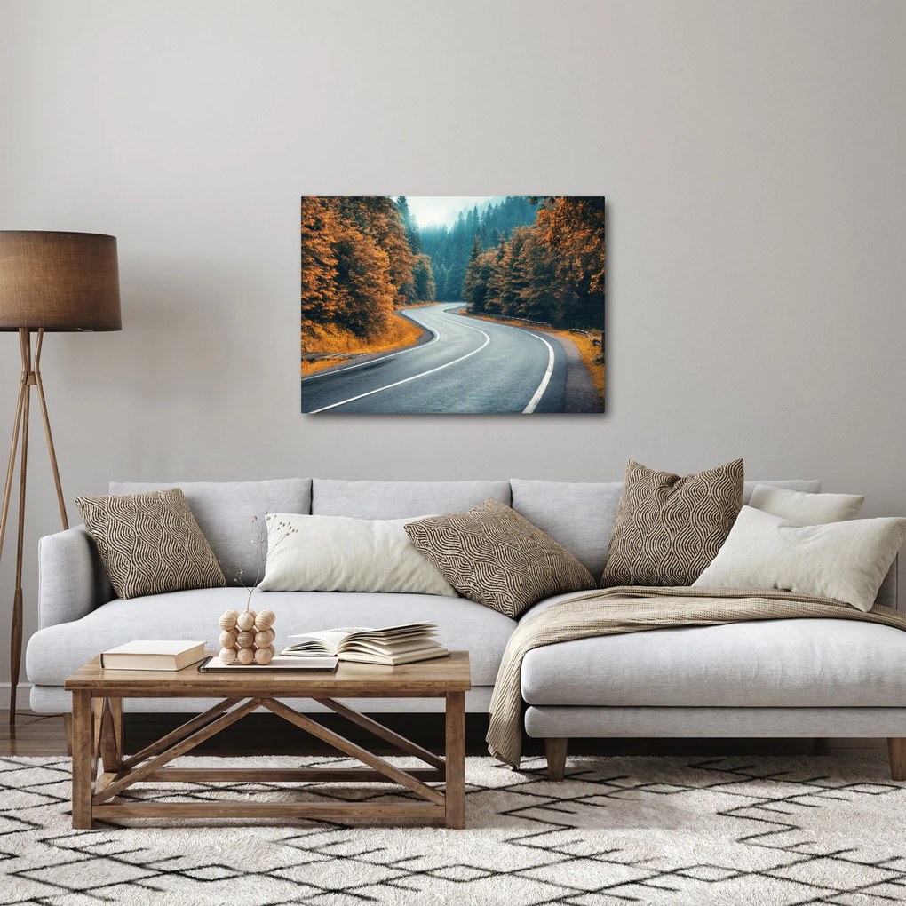 Tablou - Drumul cu serpentine (70x50 cm)