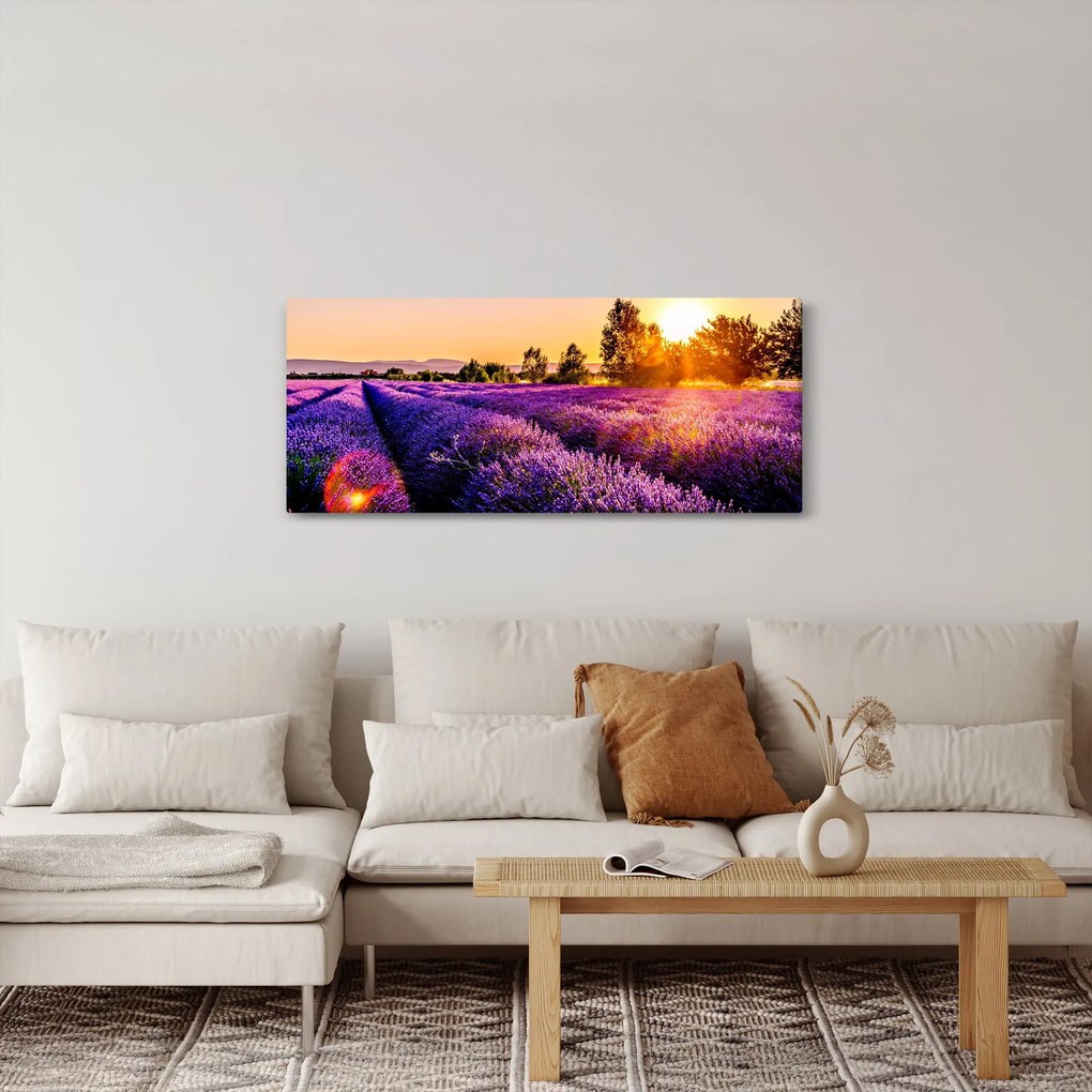 Tablou cu câmp de lavandă (120x50 cm)