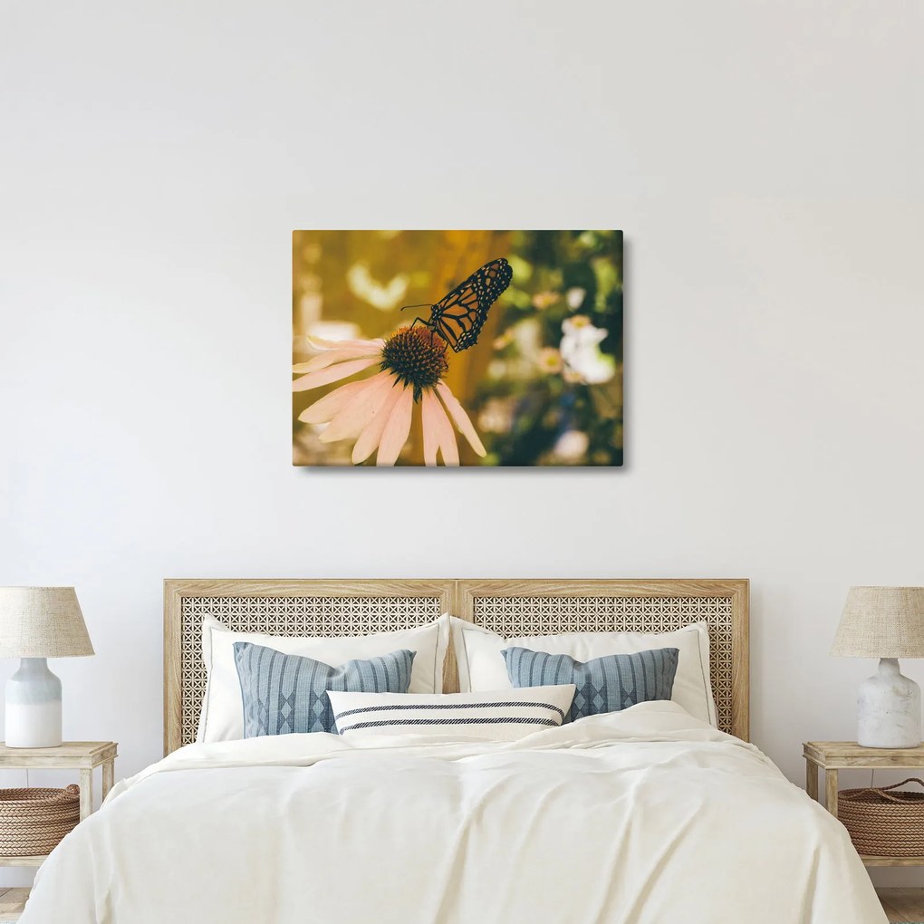 Tablou cu fluture pe floare (70x50 cm)