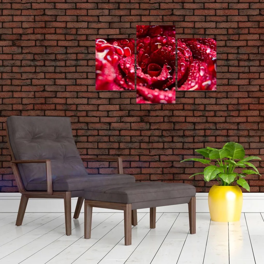 Tablou cu floarea trandafirului roșu (90x60 cm)