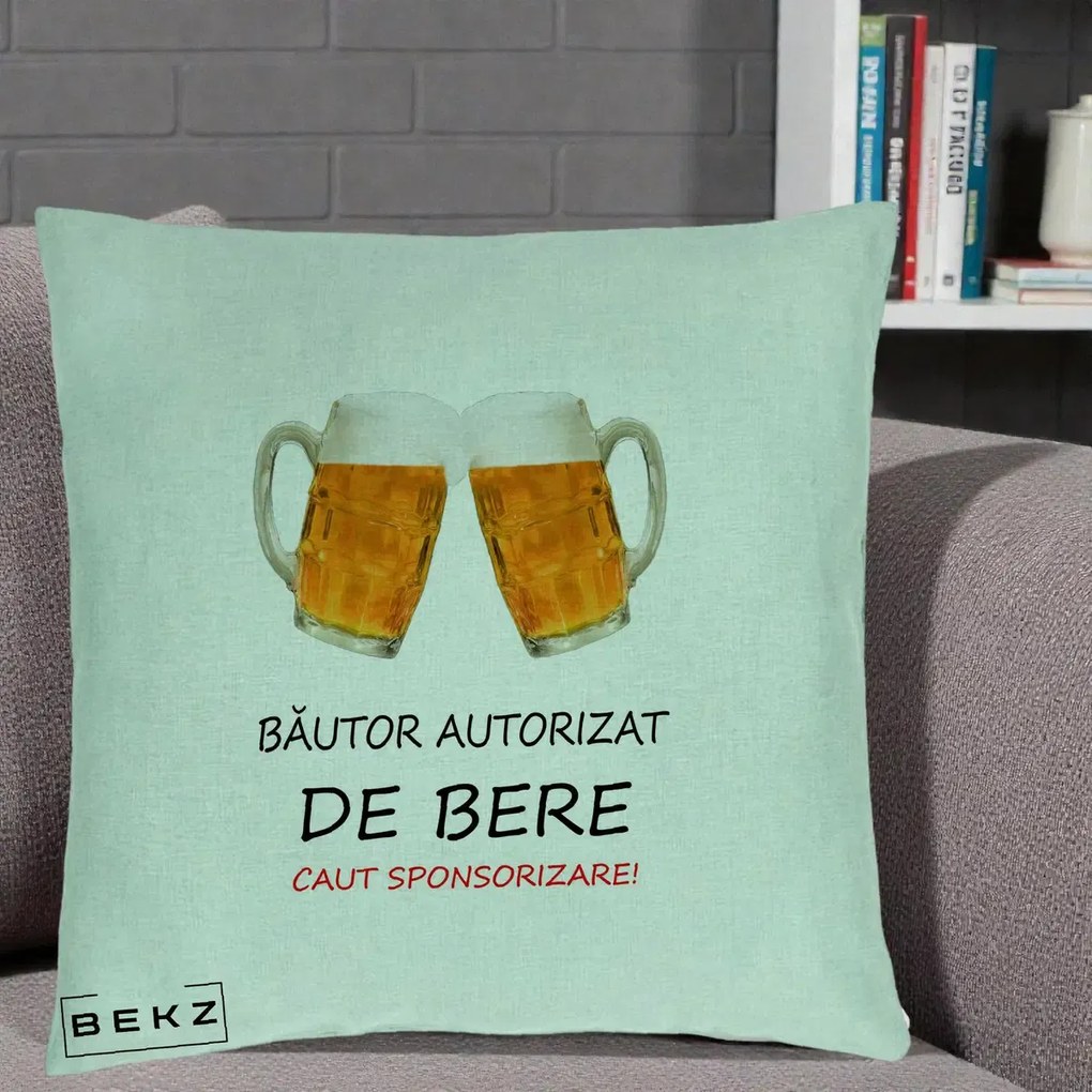 Perna Decorativa Bautor Autorizat de Bere, 40x40 cm, Verde Menta, Husa Detasabila, Perna Inclusa, BEKZ®