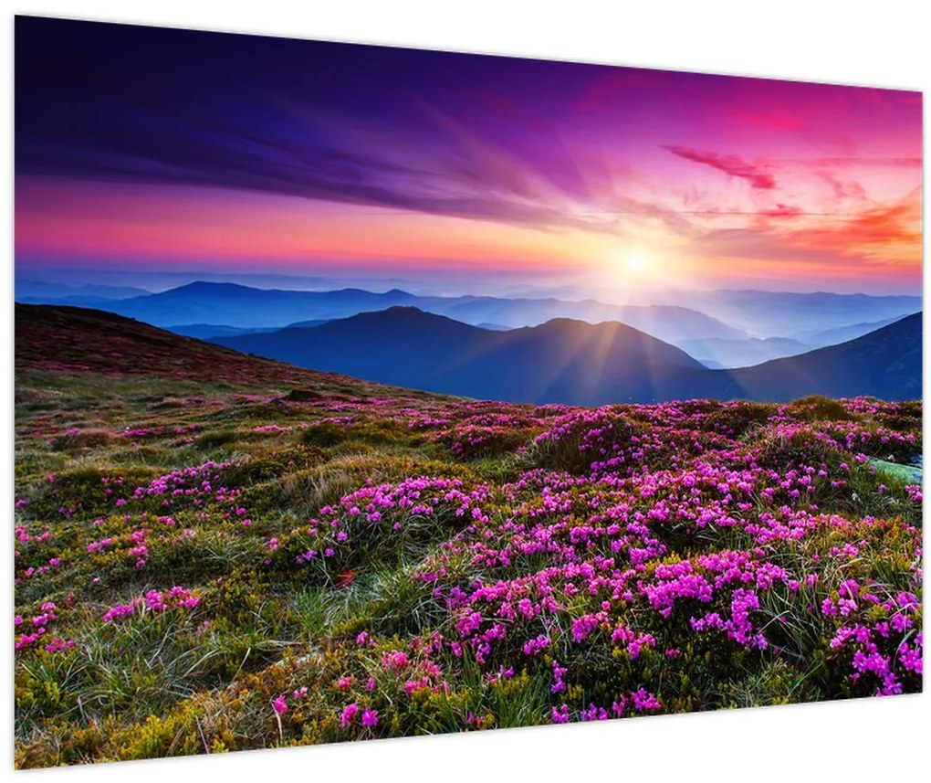 Tablou - Munte înflorit peisaj (90x60 cm)