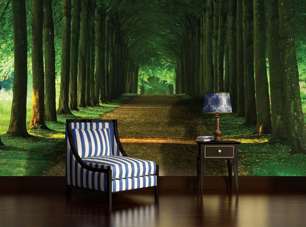 Fototapet - Alee (152,5x104 cm)