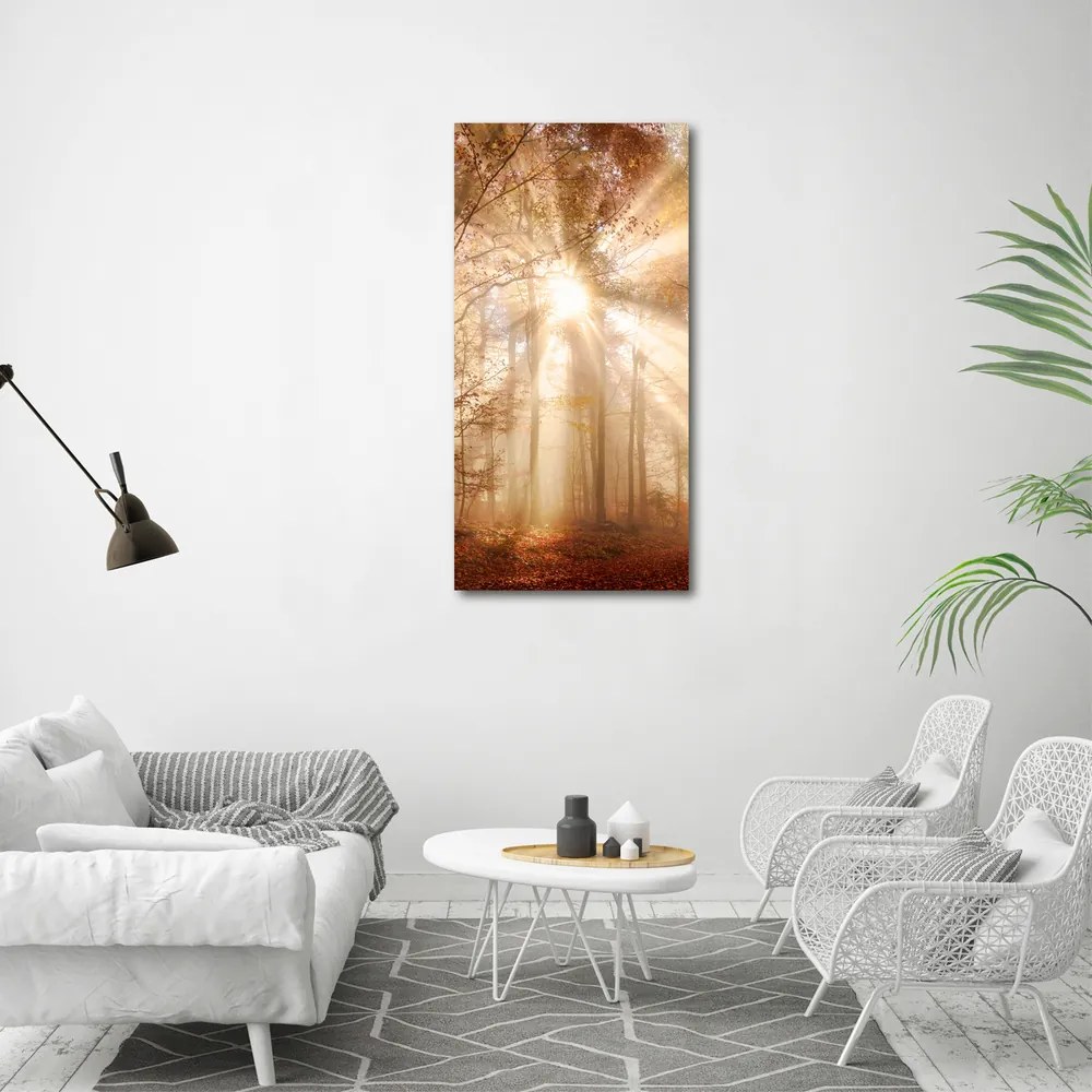 Tablou pe pânză canvas Pădure în toamna