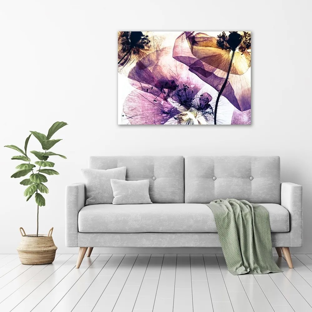 Tablou pe pânză canvas Maci uscate