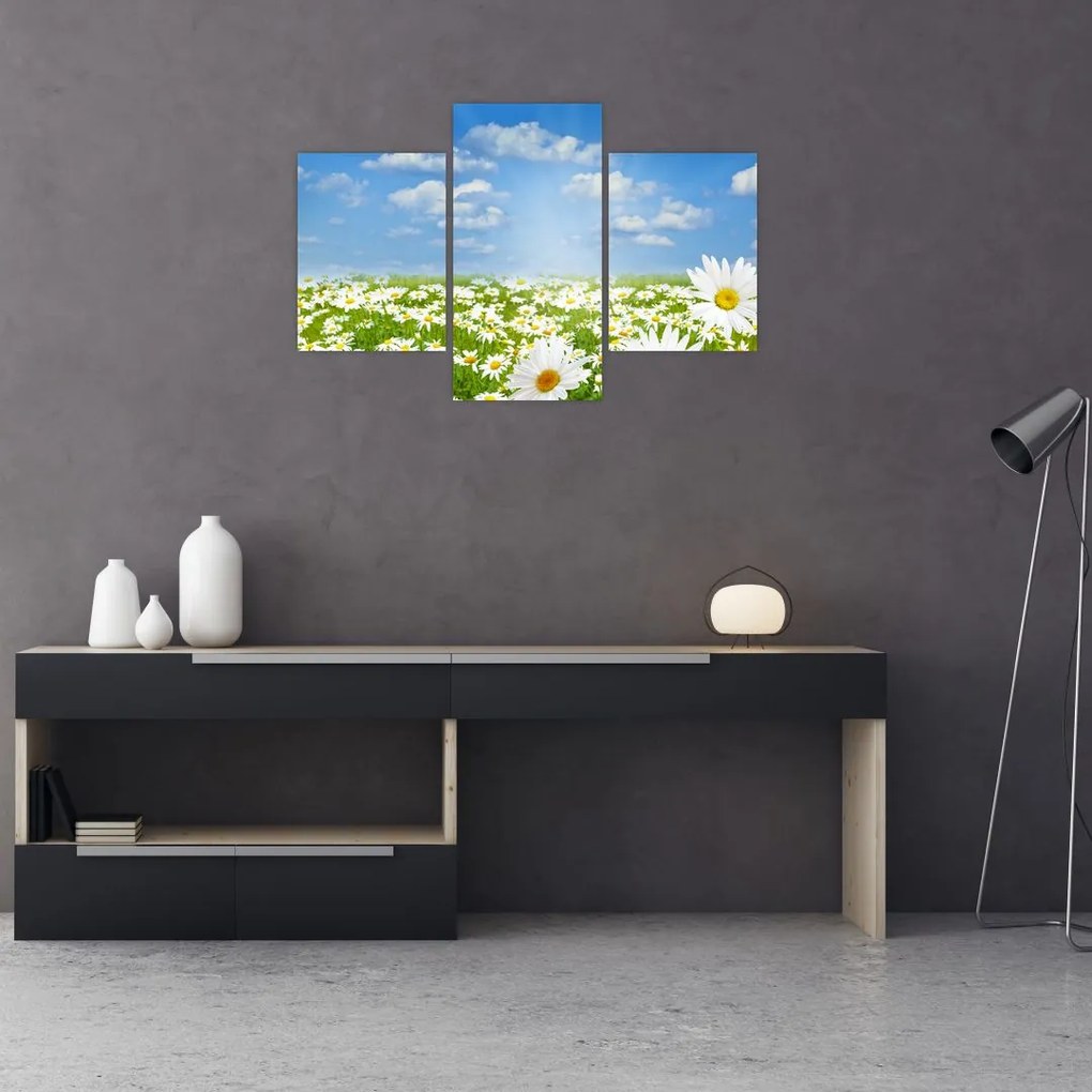 Tablou cu luncă înflorită cu margarete (90x60 cm)