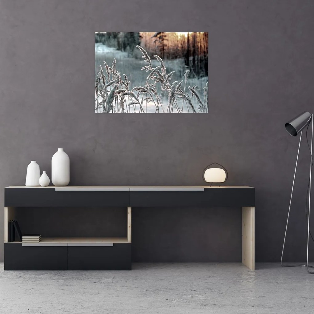 Tablou pe sticlă - Pajiște înghețată (70x50 cm)