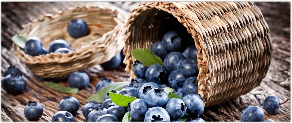 Tablou - Afine suculente (120x50 cm)