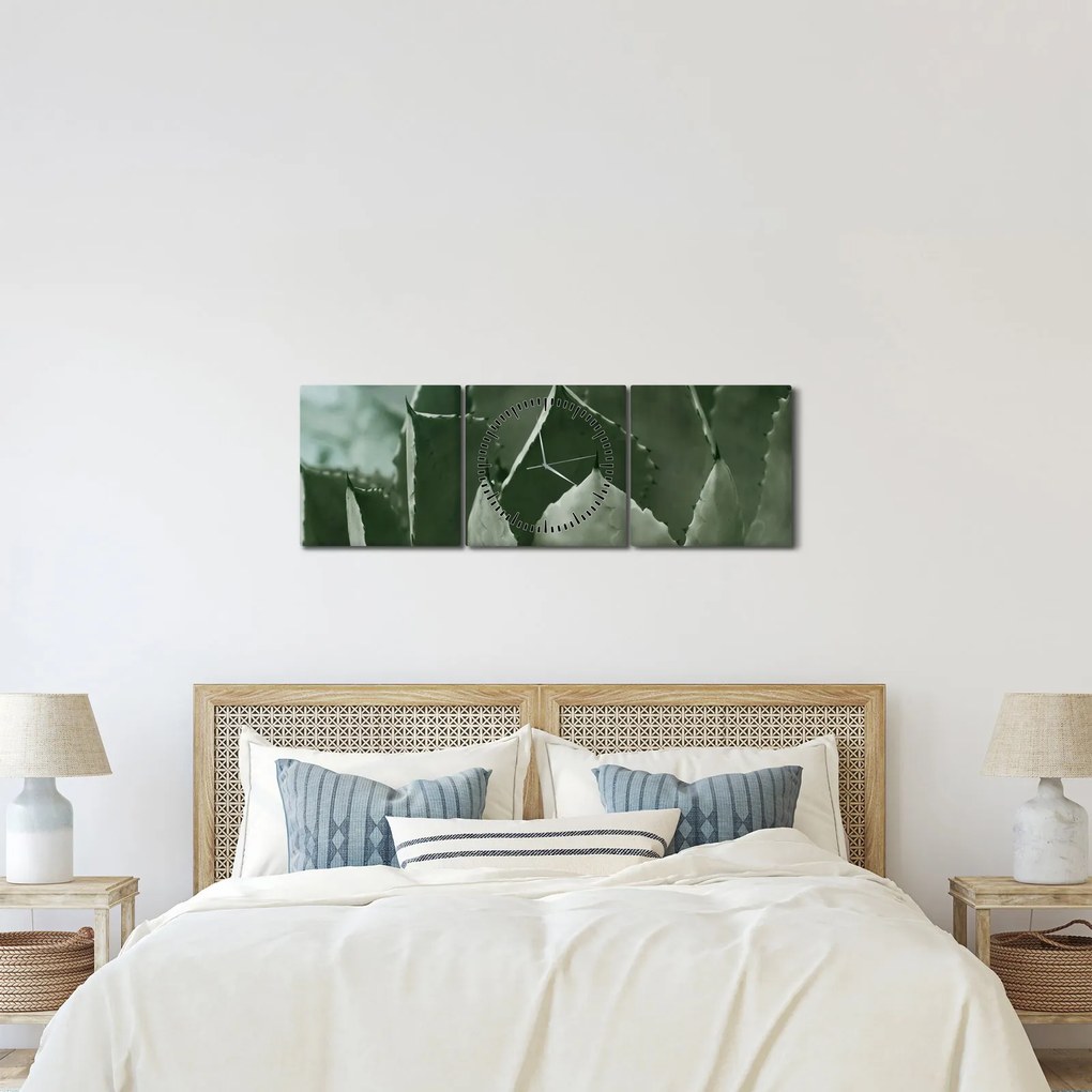 Tablou - Agave verde (cu ceas) (90x30 cm)