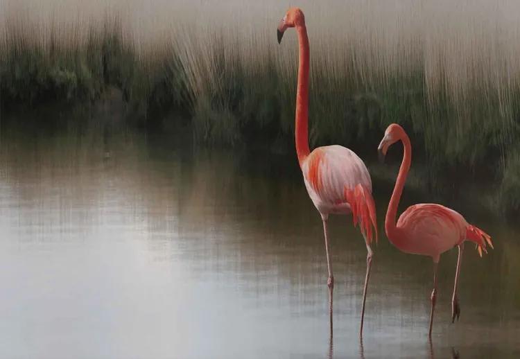 Flamingos On The Lake Fototapet, (416 x 290 cm)