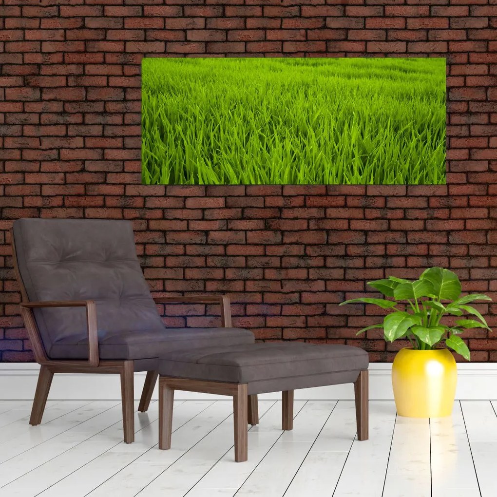 Tablou cu iaraba (120x50 cm)