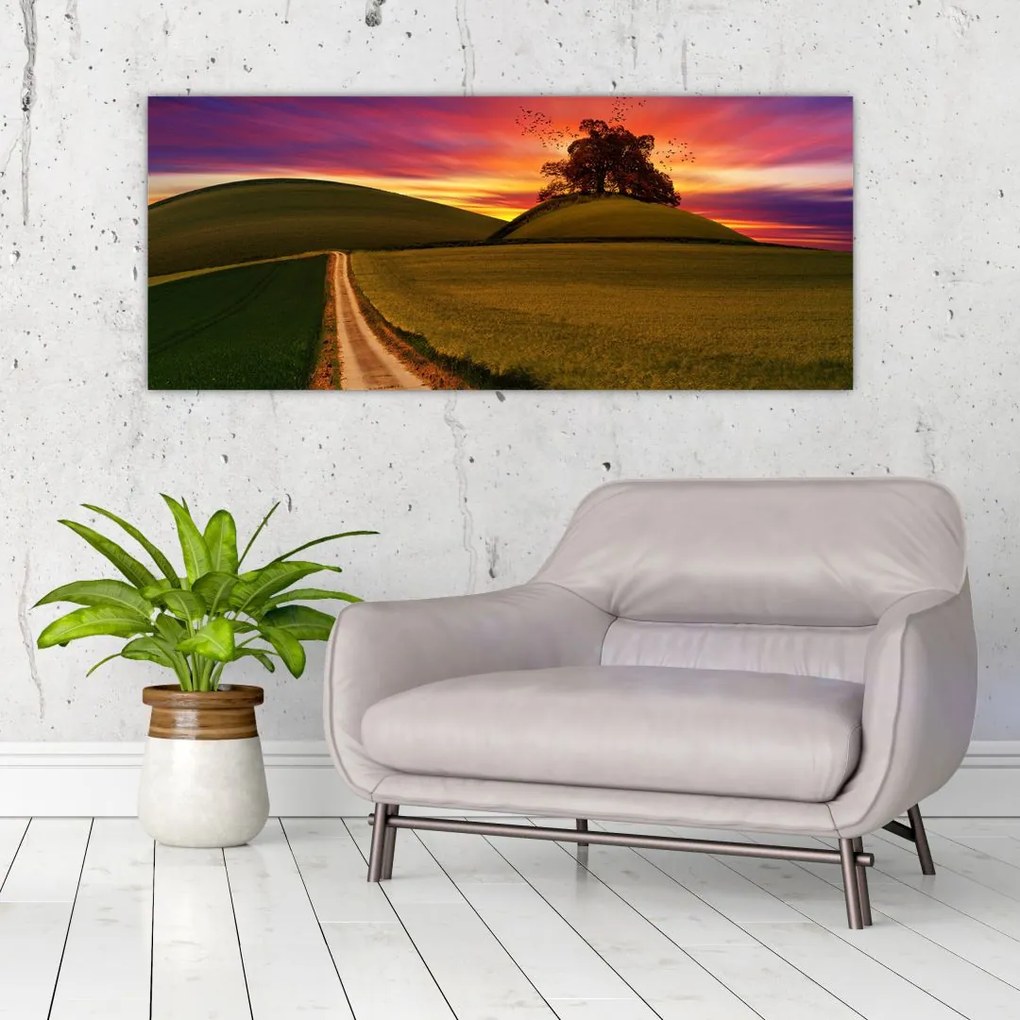 Tablou câmpului cu apus de soare (120x50 cm)