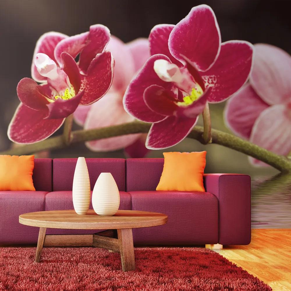 Fototapet Bimago - Beautiful orchid flowers on the water + Adeziv gratuit 200x154 cm