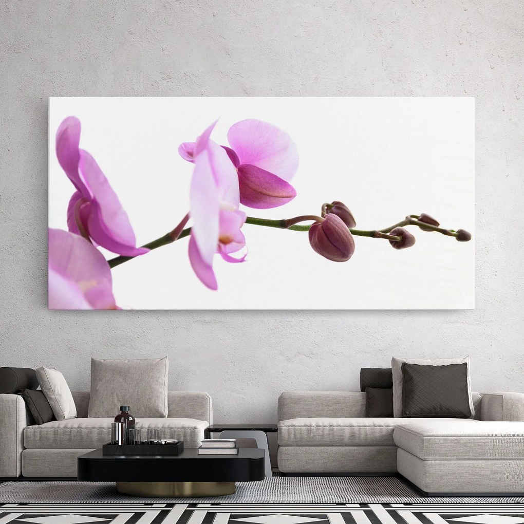 Tablou Canvas, 100x200cm, Dormitor si Living, Flori, Orhidee, Purple Orchid On White