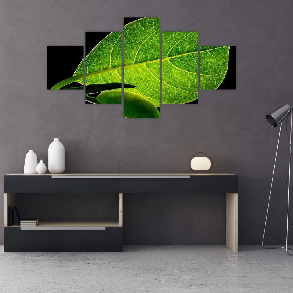 Tablou - frunză verde (125x70 cm), în 40 de alte dimensiuni noi