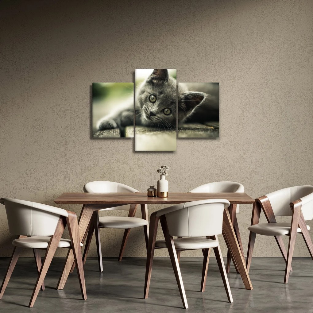 Tablou cu pisicuța (90x60 cm)