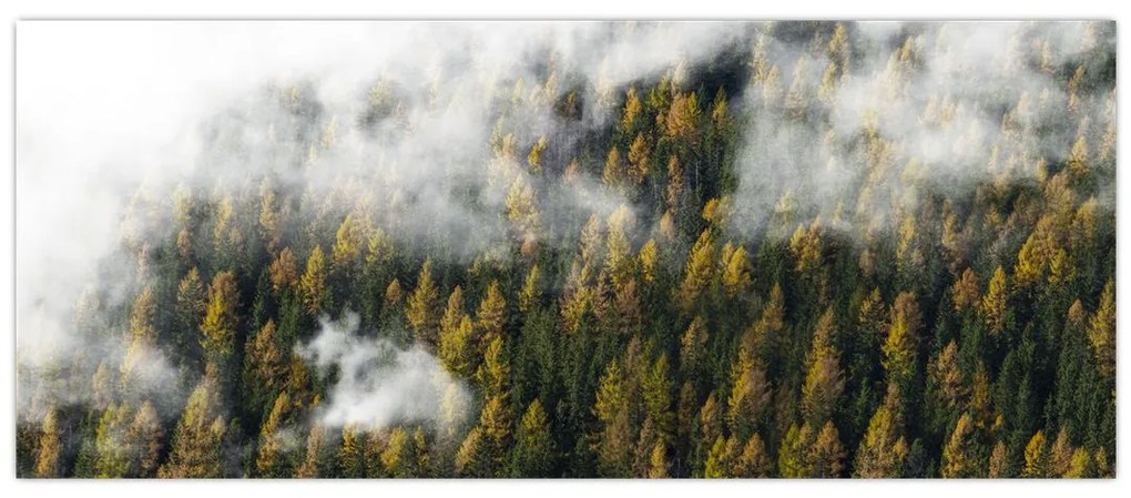 Tablou - Pădure în nori (120x50 cm)