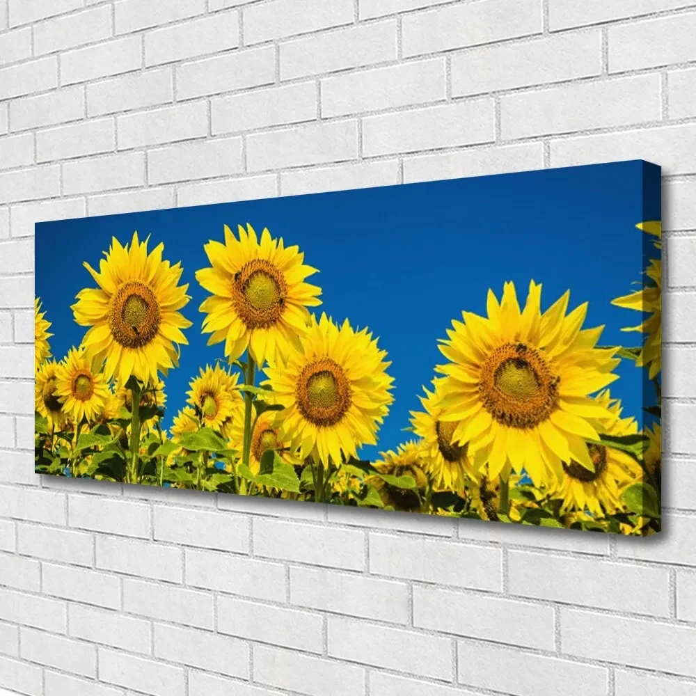 Tablou pe panza canvas Floarea soarelui Floral Galben Verde