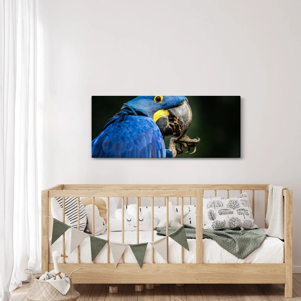 Tablou cu papagal (120x50 cm)