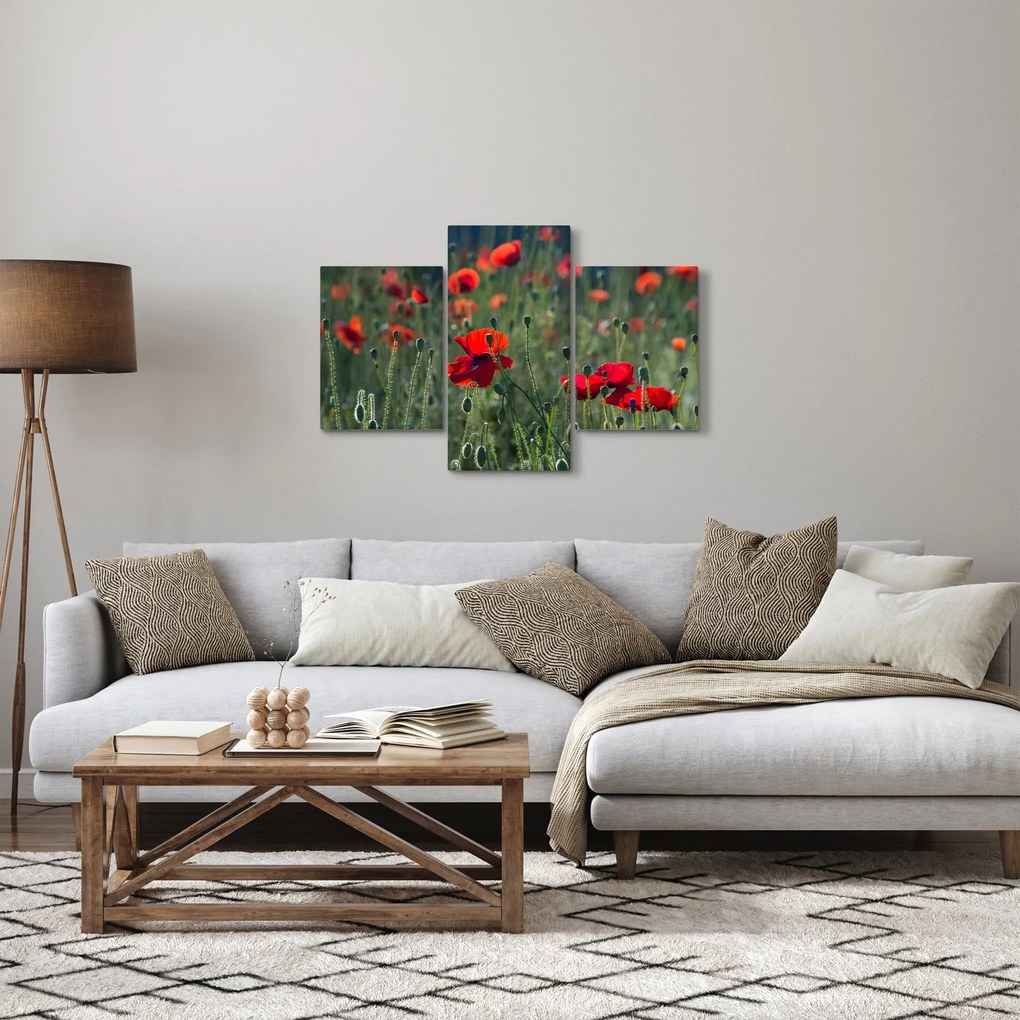 Tablou - Lunca cu maci (90x60 cm)