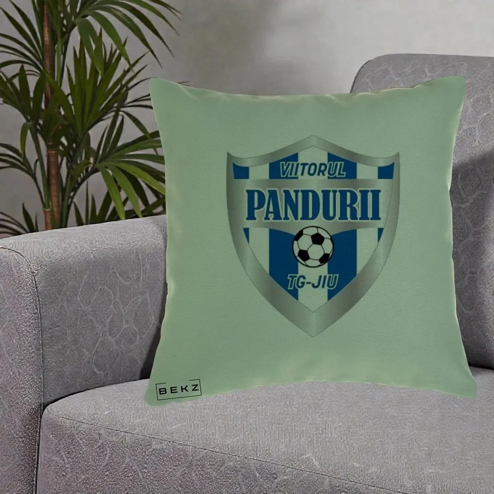 Perna Personalizata Pandurii Targu Jiu Fotbal, 40x40 cm, Verde, Husa Detasabila, Perna Inclusa, BEKZ®