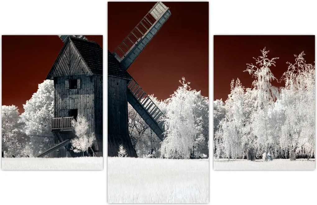 Tablou cu moară (90x60 cm)