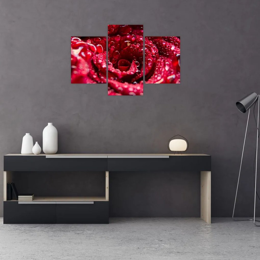 Tablou cu floarea trandafirului roșu (90x60 cm)