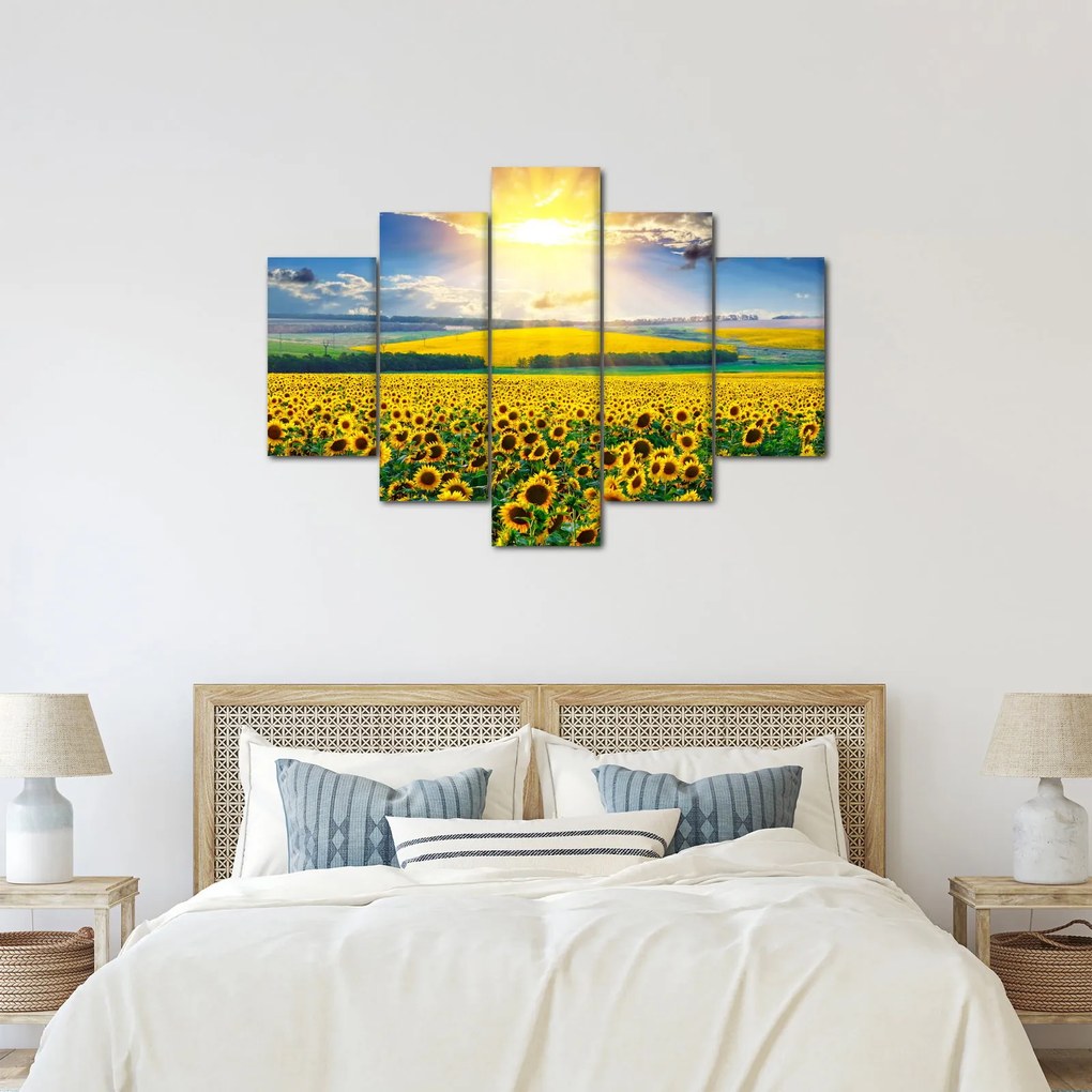 Tablou - Câmp cu floarea soarelui (150x105 cm)
