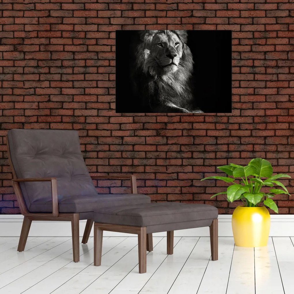 Tablou - Leu (70x50 cm)