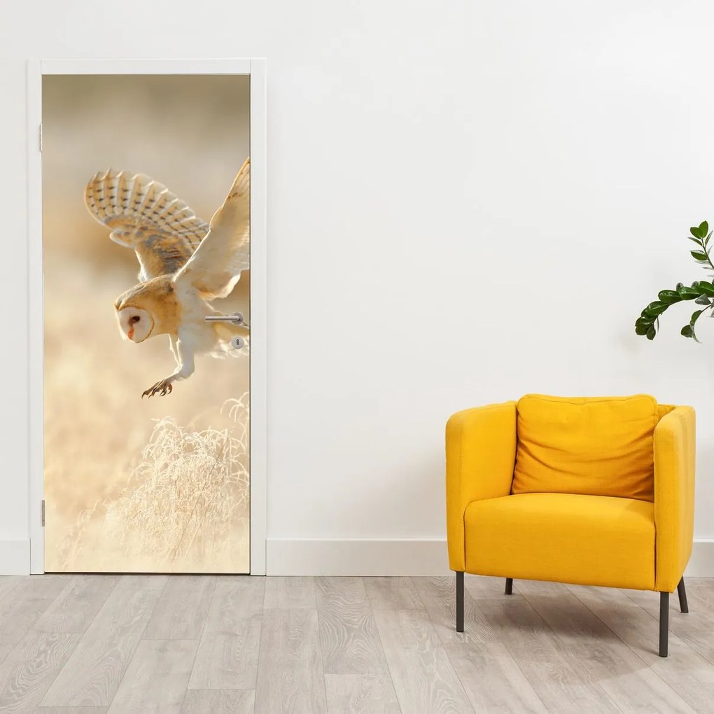 Fototapet pentru ușă - Bufnița (95x205cm)