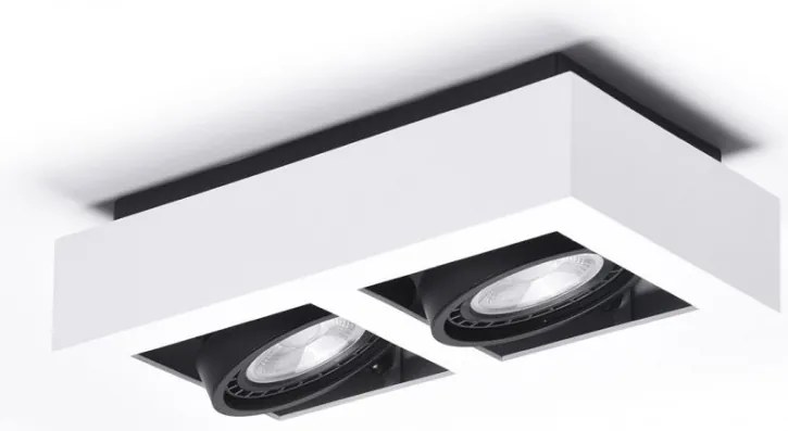 Spot aplicat directionabil de tavan/plafon NIKEA 2 ES111 alb/negru