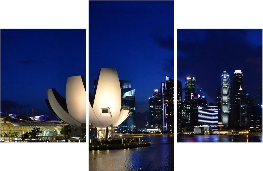Tablou Singapore nocturn (90x60 cm)
