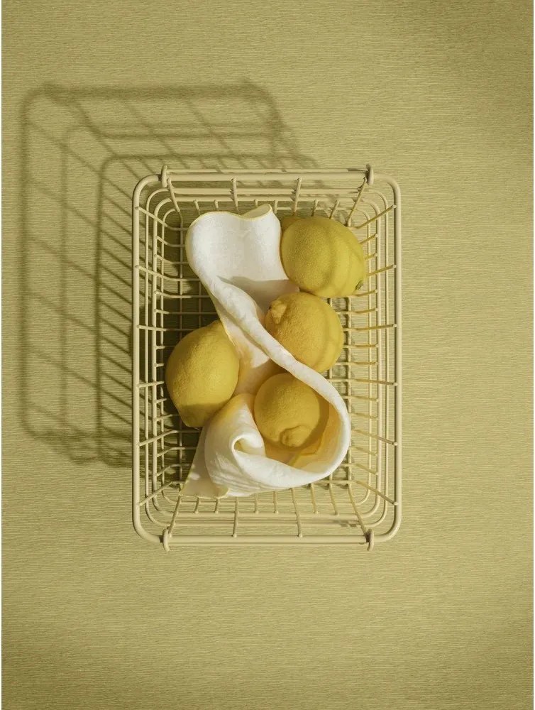 Coș de depozitare din sârmă din metal 29x21x14 cm Kago S – Blomus