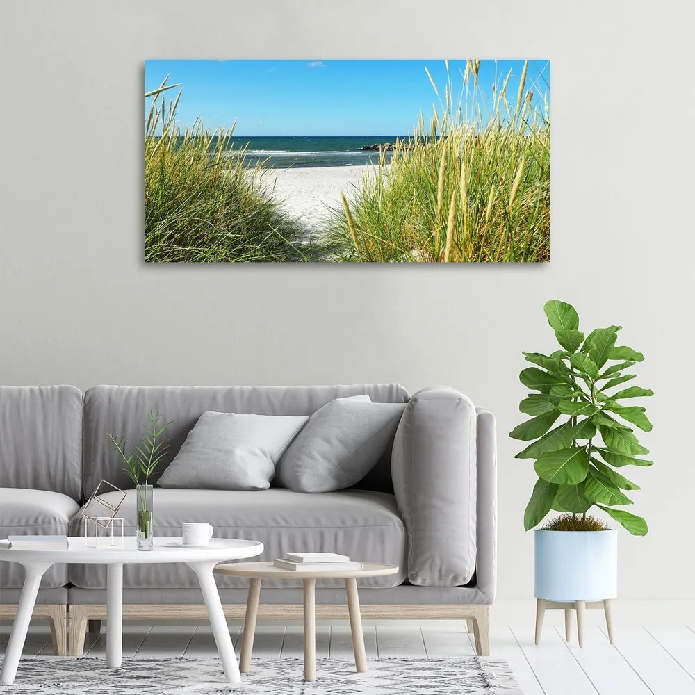 Tablou pe pânză canvas Dune de coastă