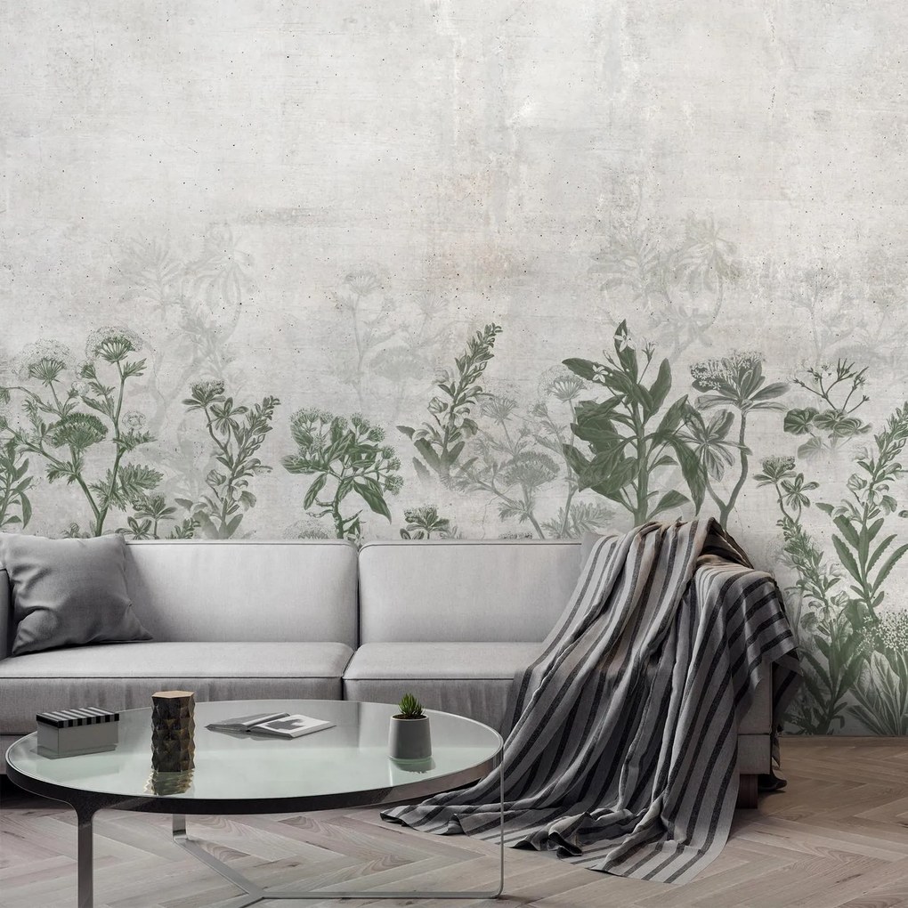 Fototapet - Plante în beton (147x102 cm)