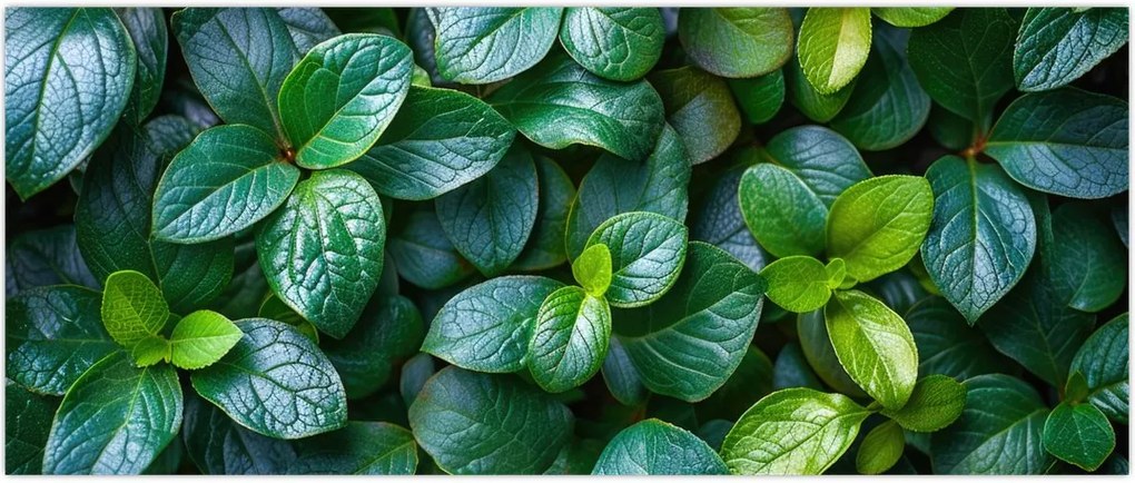 Tablou - Plante verzi (120x50 cm)