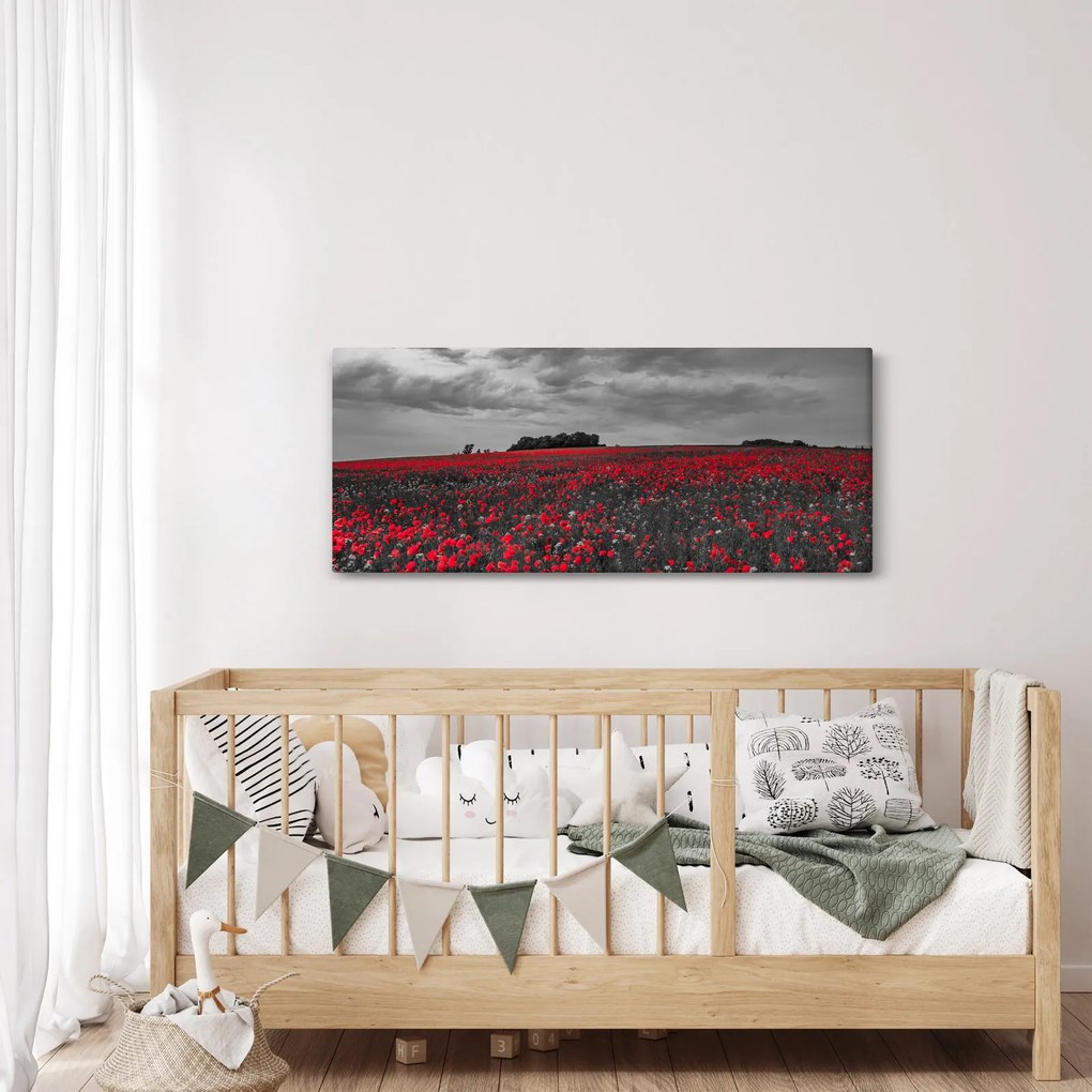 Tablou cu maci (120x50 cm)