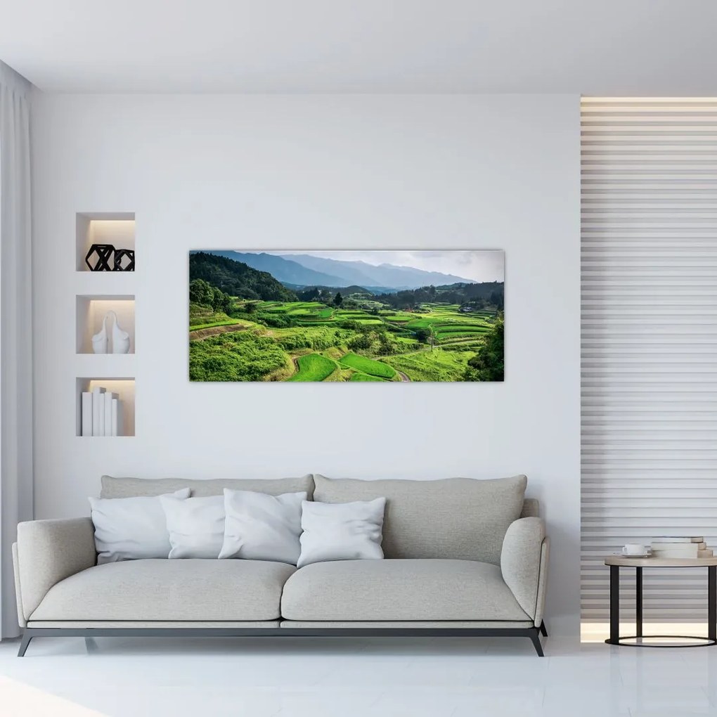 Tablou cu câmp de orez (120x50 cm)