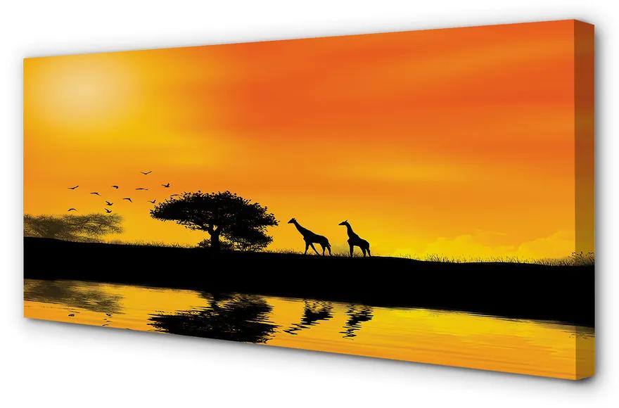 Tablouri canvas Girafele lac copac vest