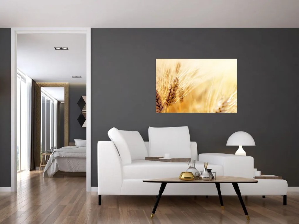 Tablou- detaliu cu (90x60 cm)