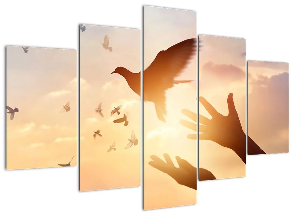 Tablou - Porumbițo, zboară! (150x105 cm)